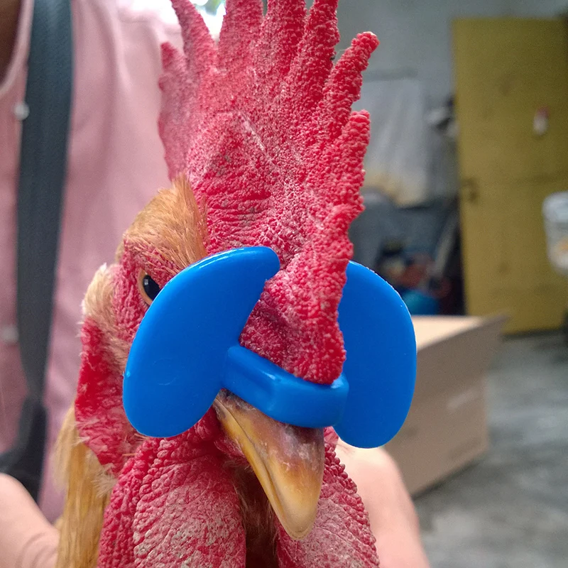 sale Latest No bolt chicken glasses Pheasant goggles Universal Anti