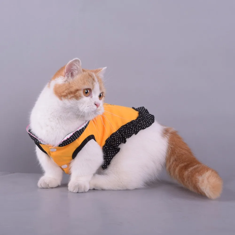 8809117090_1137454732