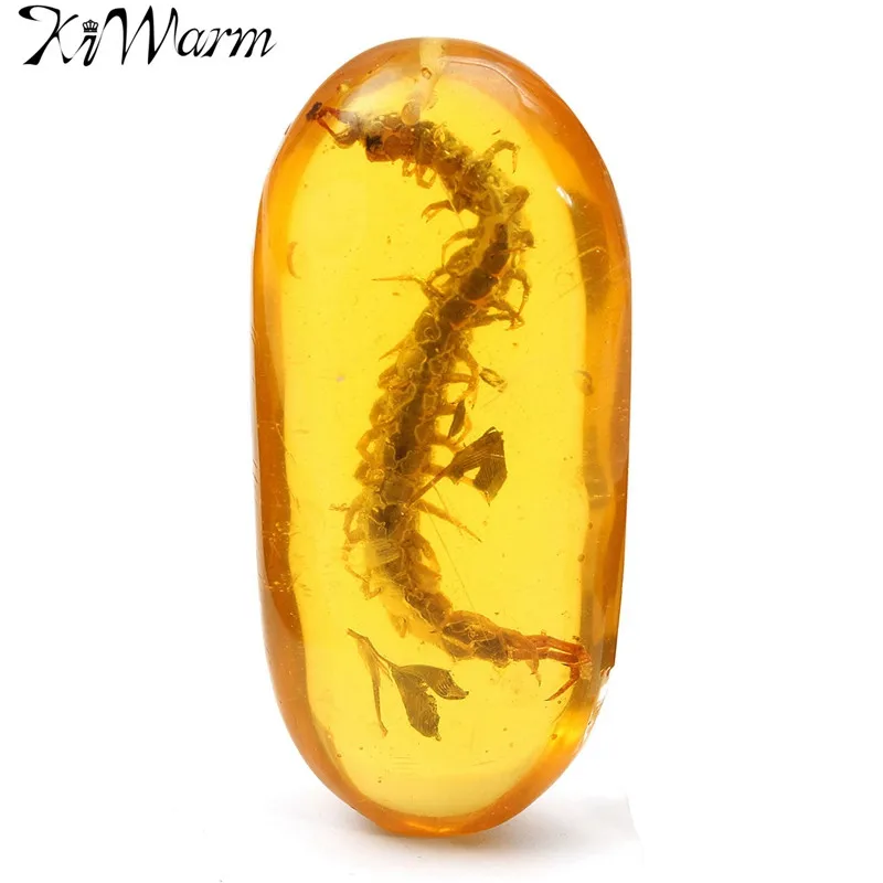 

KiWarm Burmite Amber Plants Insects Real Centipede Pendant Gemstone Jewelry Sweater Chain Accessories Ornament Crafts Gift