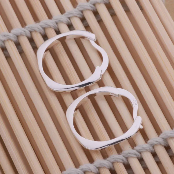 wholesale Earrings silver plated  Fashion jewelry errrings WE-175