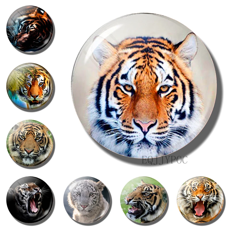 Tiger fridge animal refrigerator 30mm Glass Cabochon