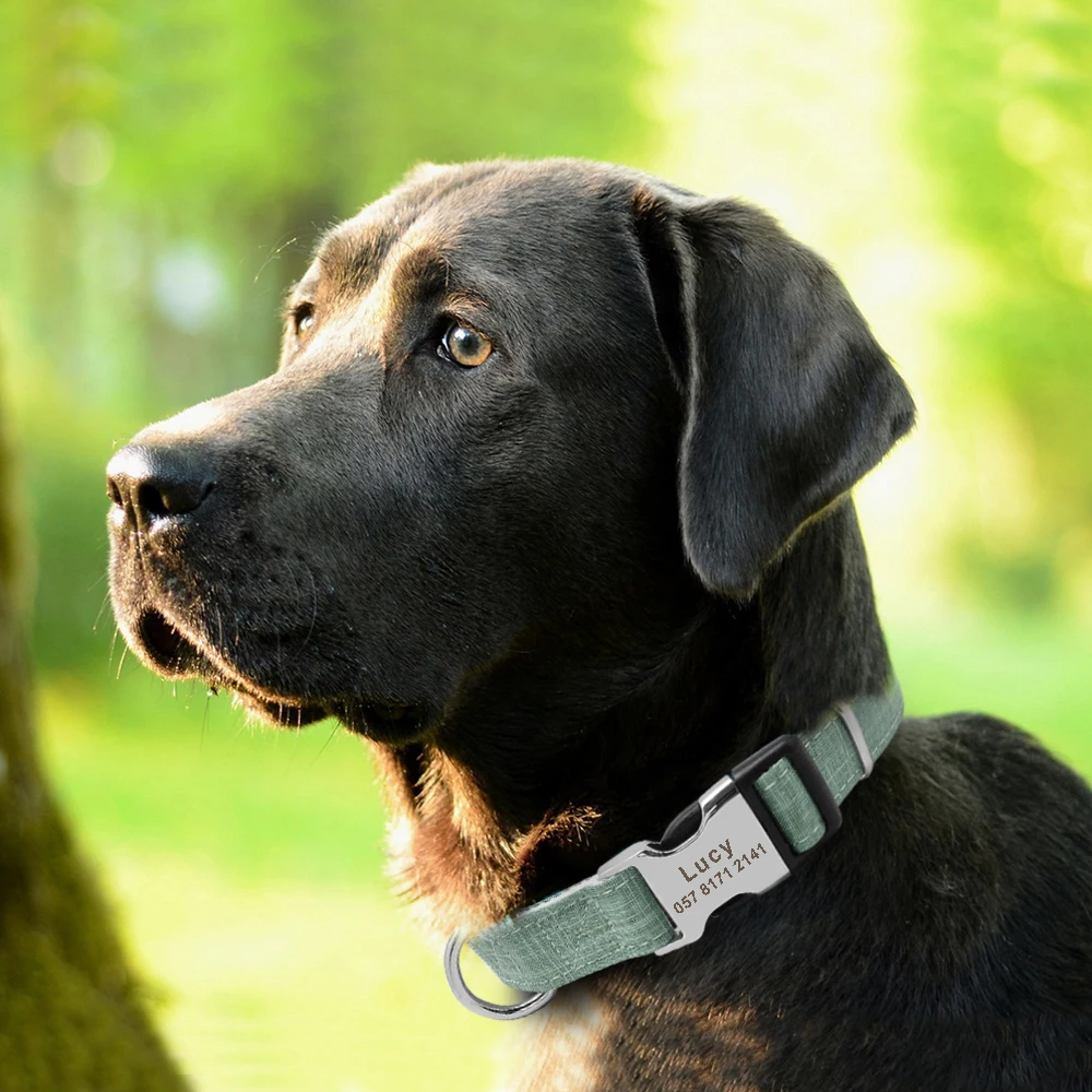 Модный нейлоновый персонализированный ошейник для собак с гравировкой имени ошейники для собак на заказ ошейник для щенков идентификационная бирка для маленьких, средних и больших собак