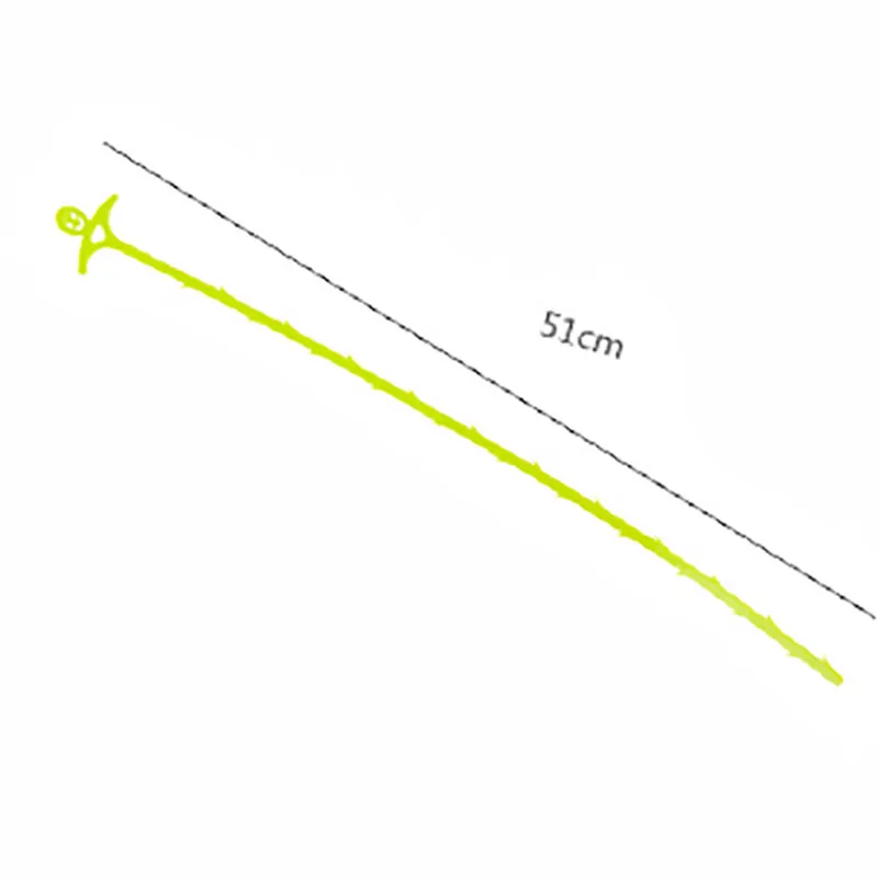  (1)