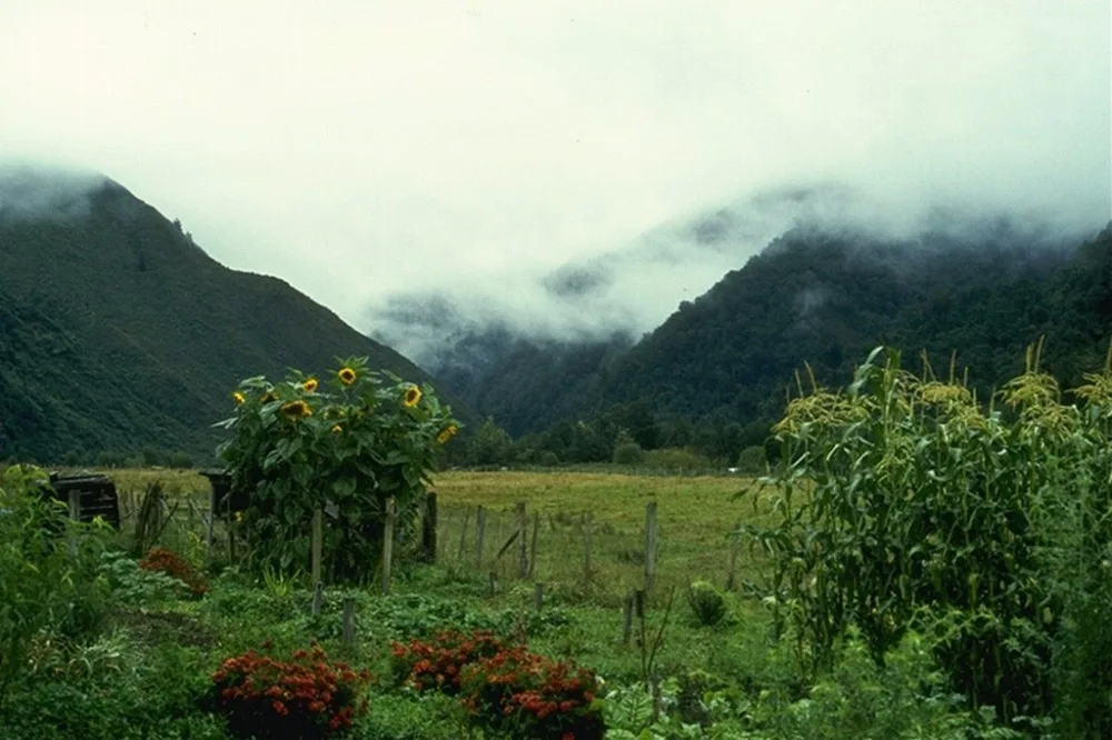 pemandangan alam desa
