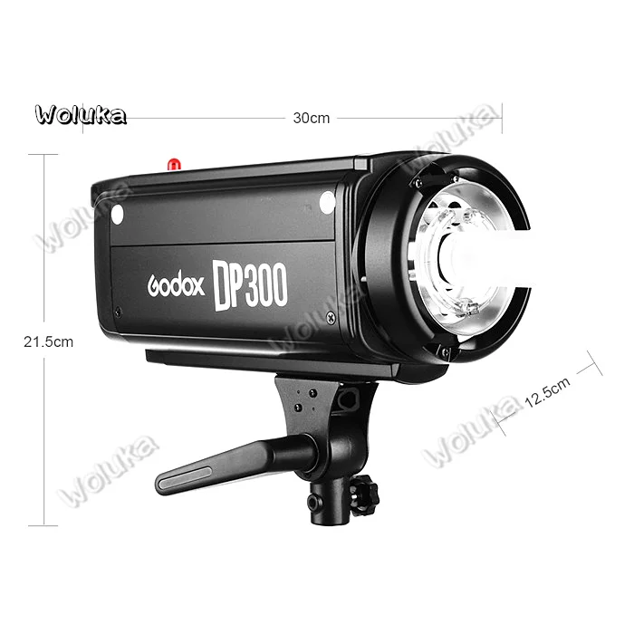 Godox-DP300-300WS-Pro-Photography-Strobe-Flash-Studio-Light-Lamp-Head-Bowens-Mount