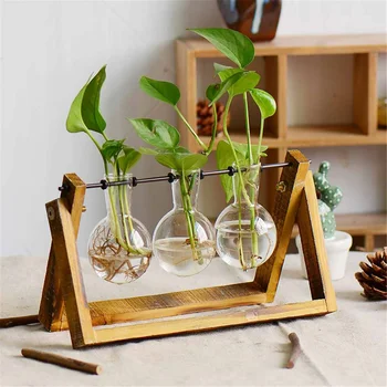 

3-Terrariums Plant-Terrarium-with-Wooden-Stand-Glass-Vase-Holder-for-Home-Decoration-Scindapsus-Container-