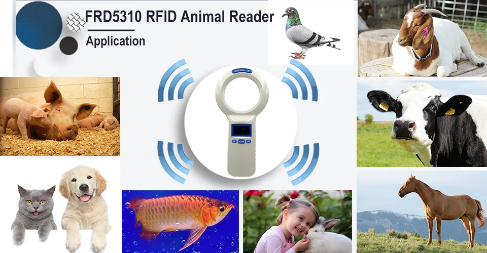 CE Rohs RFID FDX-B USB 134,2 кГц собака кошка крупного рогатого скота мышь верблюд сканер reader для транспондера микрочип ухо тег животных и ветеринарн