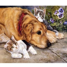 Полный квадратный/бриллиант 5D поделки алмазов картина фото на заказ "собак и кошек" 5d Вышивка вышивки крестом мозаичный Декор rs854