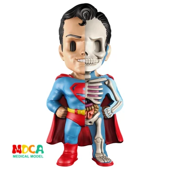 

Superman 4D XXRAY master Mighty Jaxx Jason Freeny anatomy Cartoon ornament