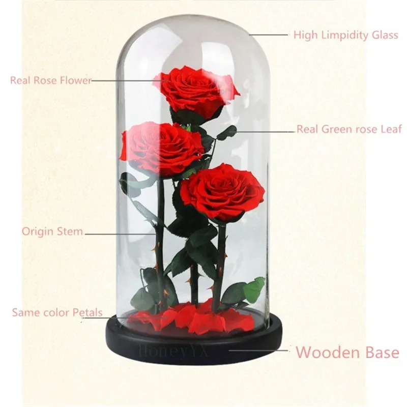 

Forever Rose Flower Preserved Rose Glass Glass Dome Wooden Base Valentine Party Gifts Wedding Decorations
