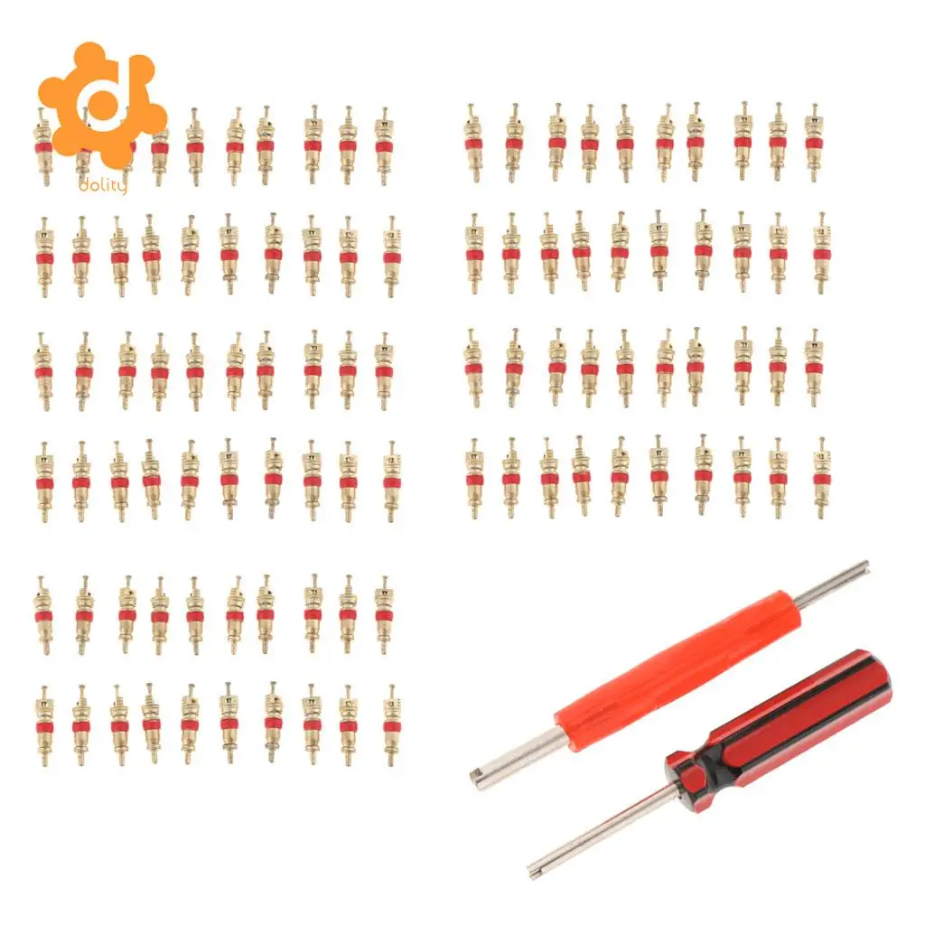 102Pcs Tire Valve Stem Core Part Dual /Single Head Valve Core Remover Set
