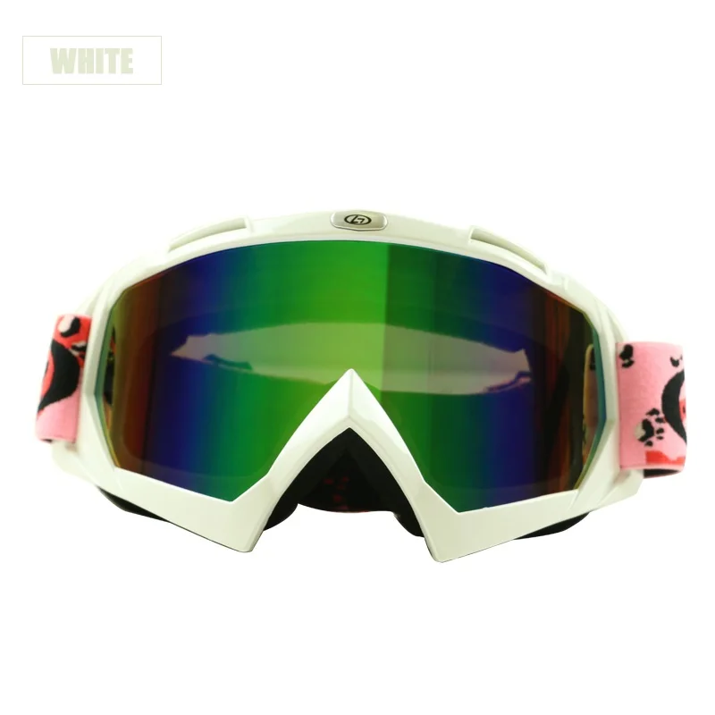 ski goggle (4)