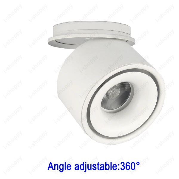 A2216is (12)
