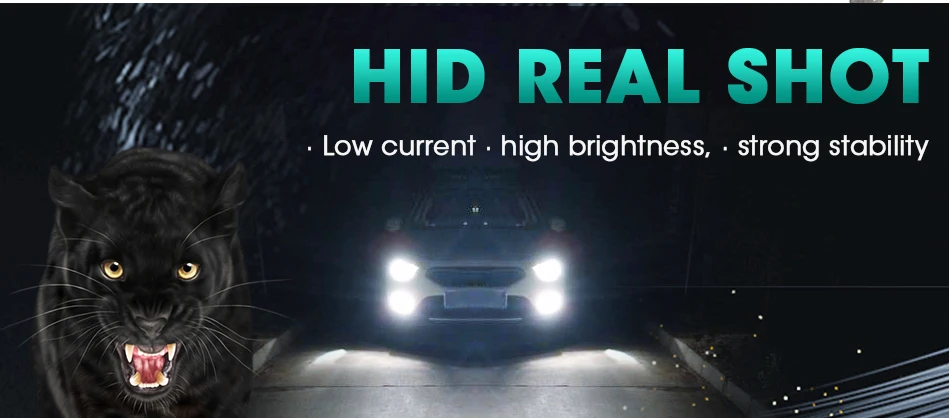 hid-D1S_09