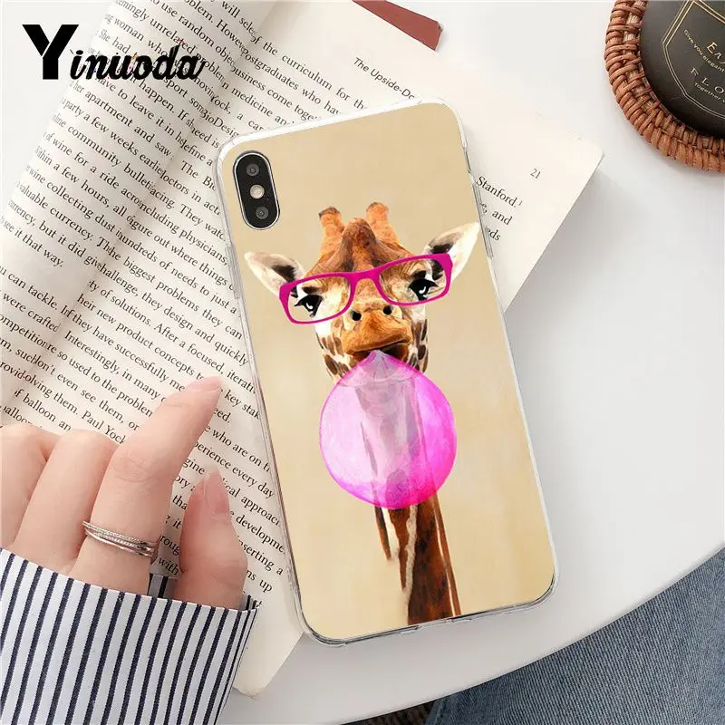 Wear Glasses Giraffe