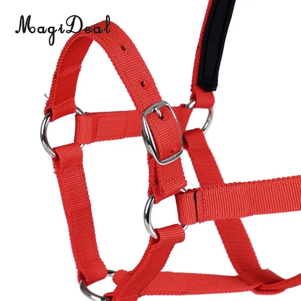 Adjustable Equestrian Western Horse Halter Fits 130cm - 165cm Horse Black/Blue/Red