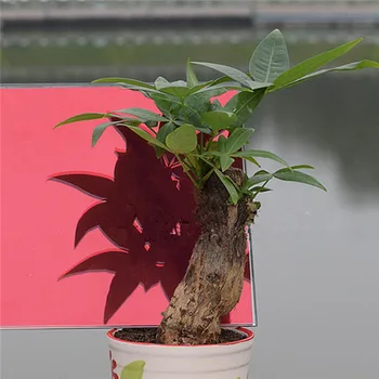 

Red&Silver Window Tint Solar Tint Film One-way Vision Mirrored Vinyl Film Privacy Protector Window Foils 152cm x 50cm (60"x20")