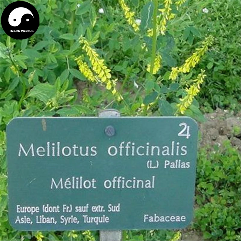 Купить Melilotus Officinalis Semente 500 шт. завод кормовых трав Melilotus трава