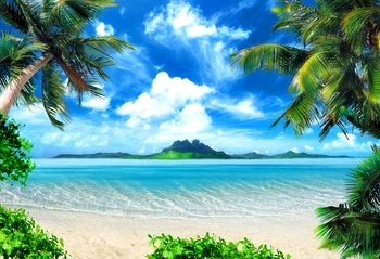 

Havana Nights Havana Cuban Wedding Sea Beach Backdrop Palm Bush Romantic Seaside Photo Booth XT-6594