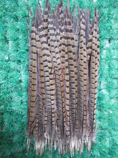 500 шт. натуральные перья фазана 16-18 дюймов, больших размеров 40-45 см, фазан перья Свадебные украшения - Цвет: natural