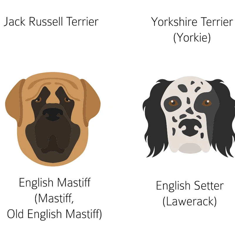 English Dog Breeds Prints Detail Picture