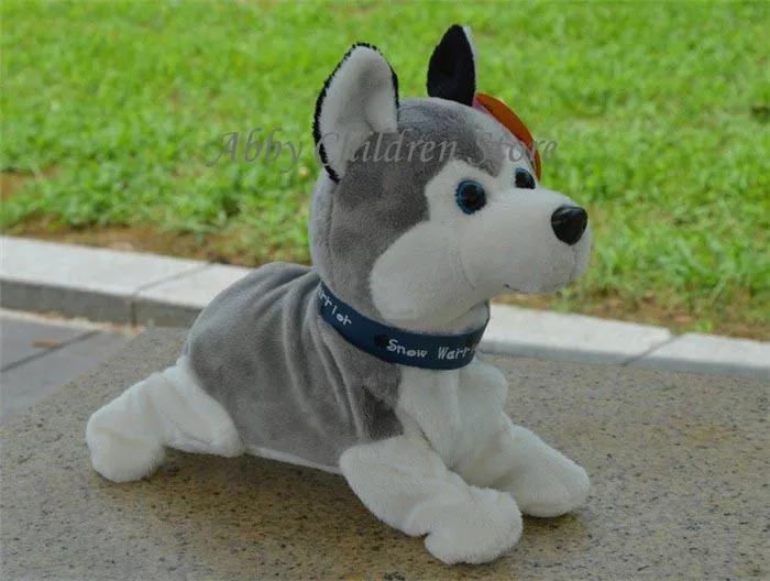 aeProduct.getSubject()