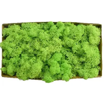 

Natural Artificial Dried Reindeer Moss for Flowers Grass Basket Plant Garden Garland Wedding Party DIY Decoration