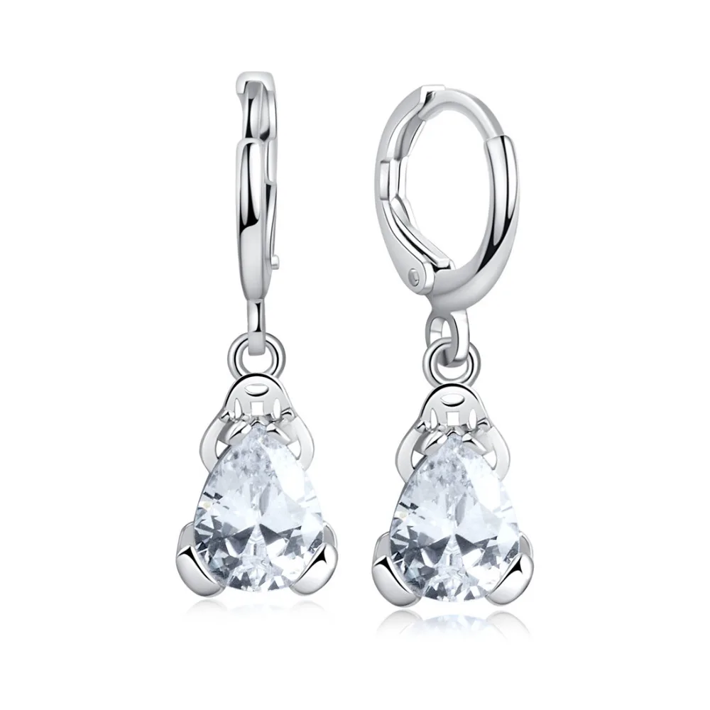 

H:HYDE 2019 Hot sale Women jewelry Cubic Zirconia Hoop earrings Frog pendant earring Boucle D'Oreille Cercle wedding party