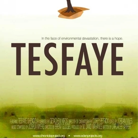 Tesfaye Movie Poster (27 x 40)