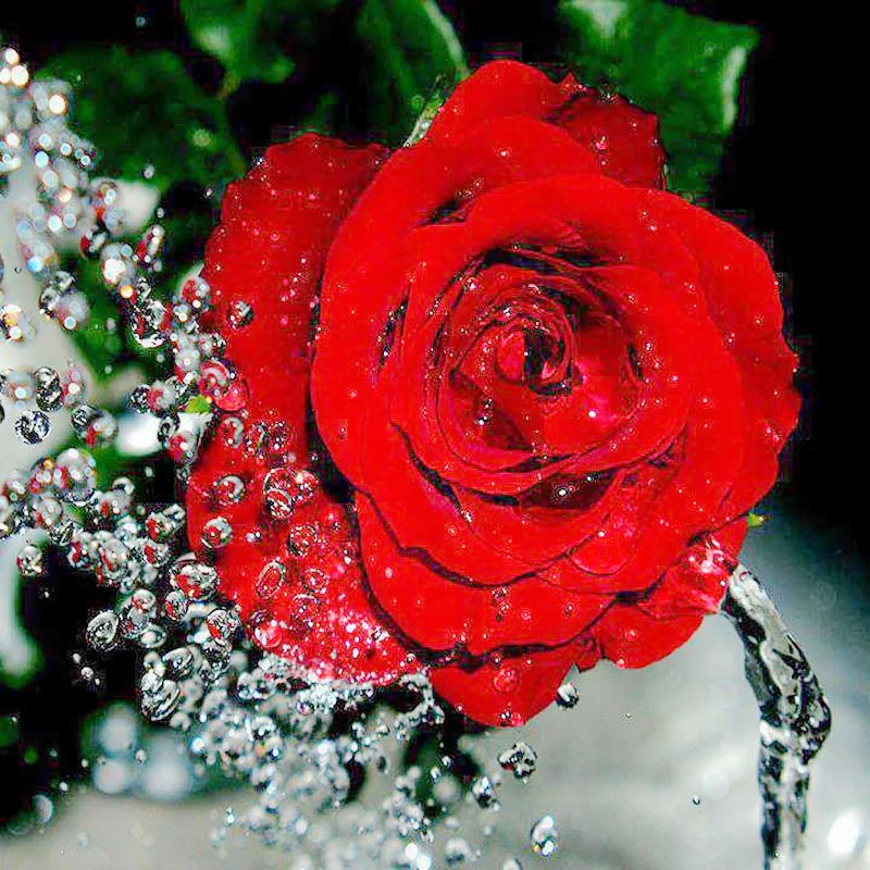

Diy round full Diamond Painting cross stitch Russia Flowers red rose diamond mosaic embroidery canvas home decor paintin