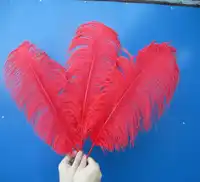 Großhandel schöne rote straußenfedern 50 stücke 22-24 zoll/55-60 cm cm Hochzeiten & Feiern federn