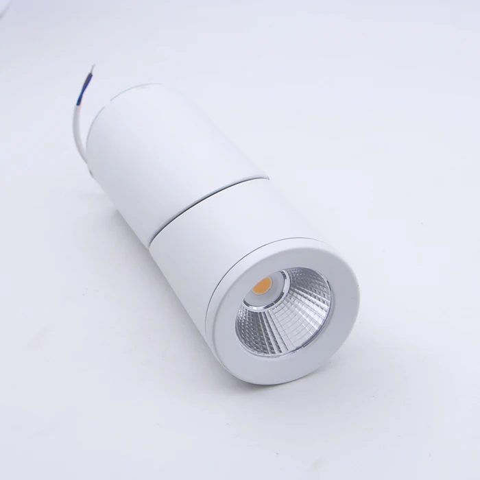 

ceiling mounted led ceiling down spot light,indoor lighting for living room and shopping store 15W AC85-265V
