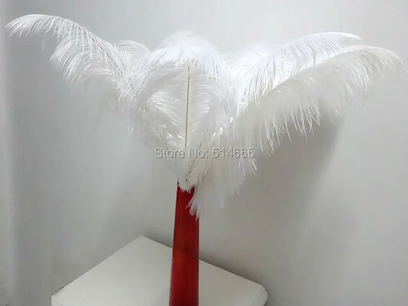 DSC03607