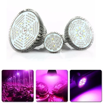 

Hot 30W/50W/80W E27 Full Spectrum LED Plant Growing Light Bulb for Hydroponic Indoor Garden Greenhouse Hydroponics System