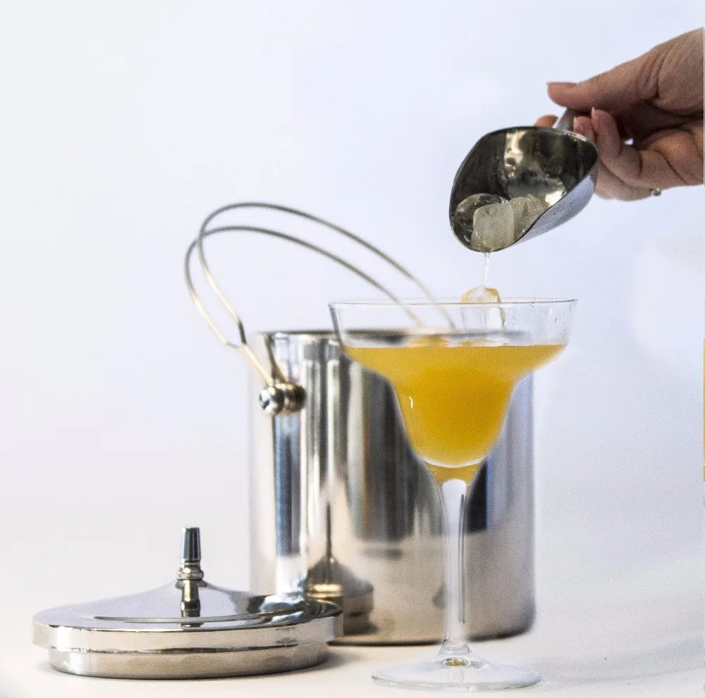 stainless steel ice  scoop