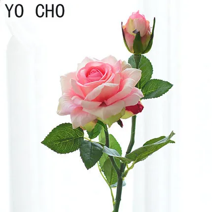 005_