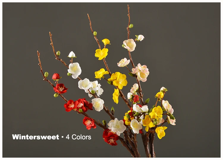 22 Wintersweet Product Image