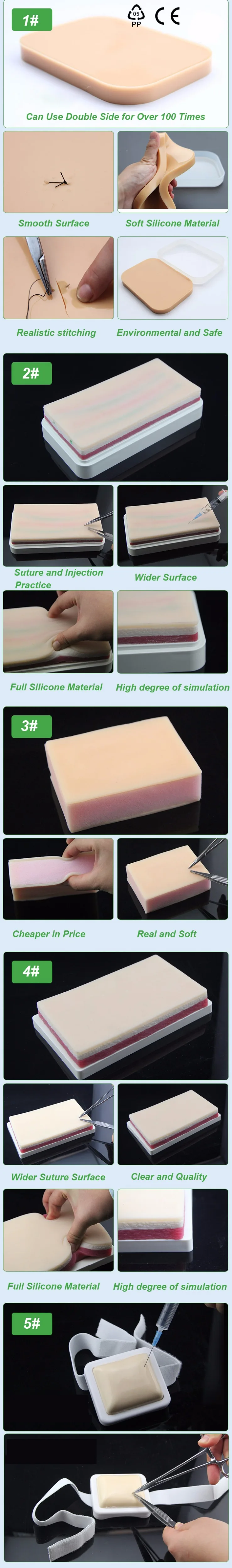 Skin Model