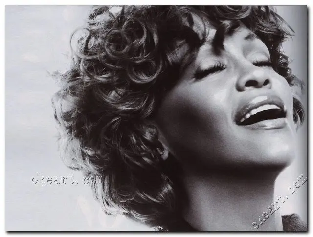 whitney black white whitney houston black white abstract art prints on canvas 0012 0012in whitney black white whitney houston black white abstract art prints on canvas 0012 0012in