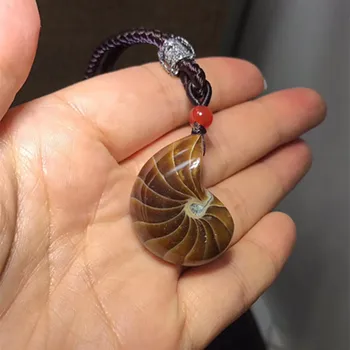 

Natural Ammonite Fossils Pendant conch Fossil Stone Crystal Pendant