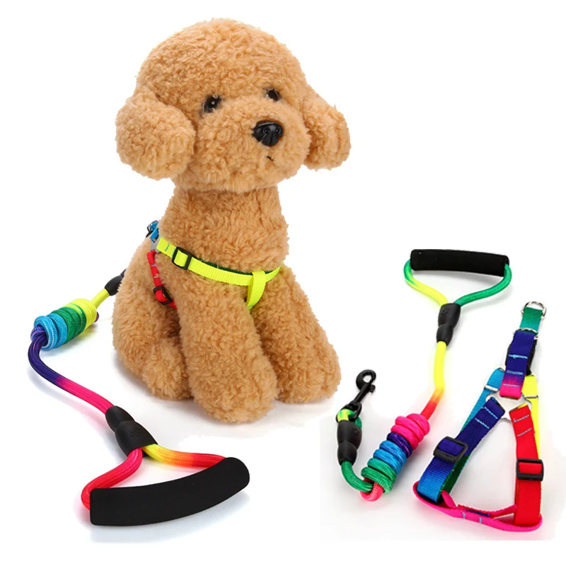 Rainbow Dog Harness Leash Set 120cm Long Durable Rope Nylon Dog Lead