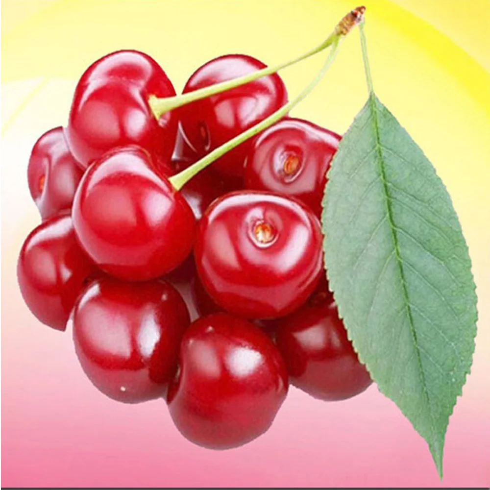

2016 5D DIY Diamond Painting Mosaic Red cherry Full Cross Stitch Kits fruit Diamonds Embroidery Home Decoration H1117