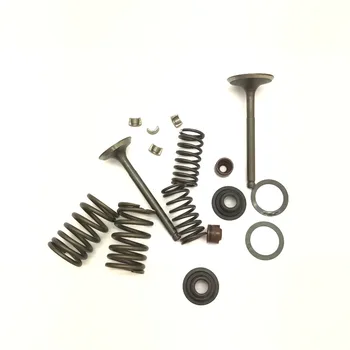 

New Spring Assembly Cylinder Head CH250 Valve Set W/Spring And Clips 70-110CC