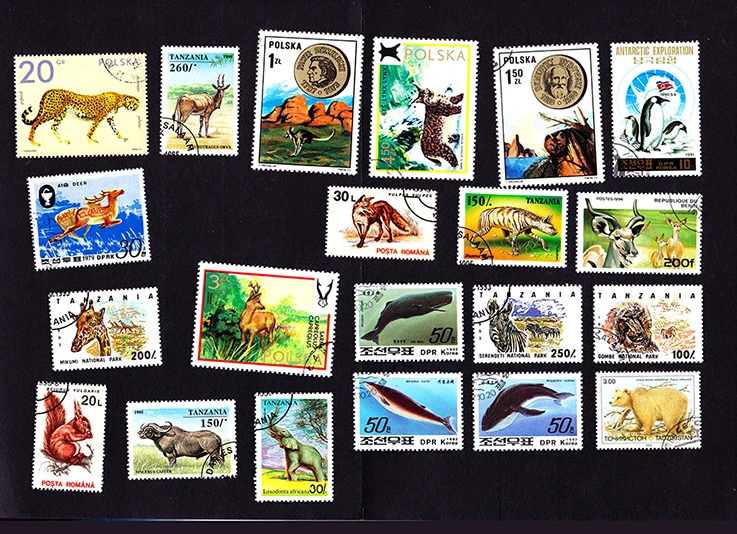 50 шт./лот дикие животные разные из многих стран нет повторения неиспользованные почтовые марки для сбора