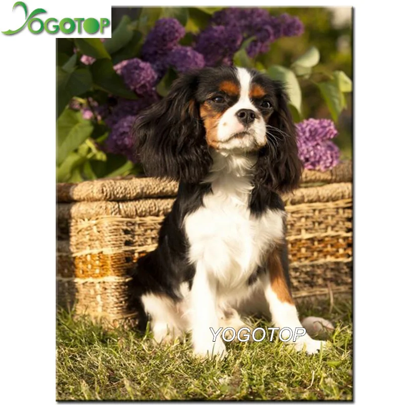 cavalier king charles spaniel paintings