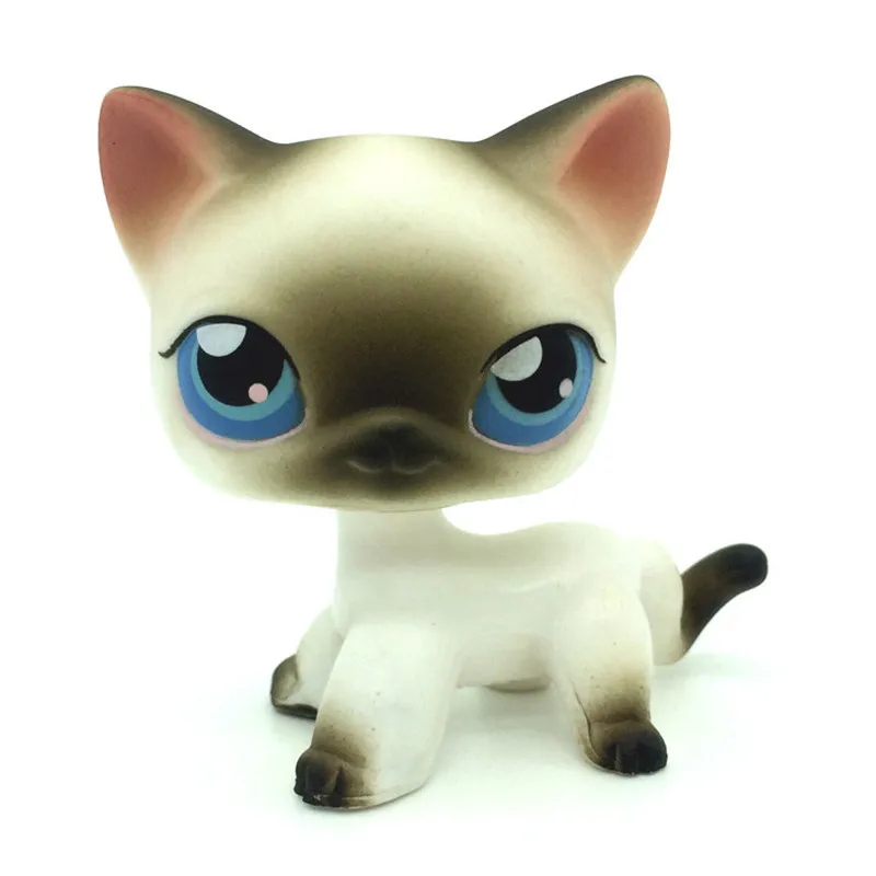 Lps Pet Shop 5 Rare Black White Short Hair Siamese Cat Blue Eyes