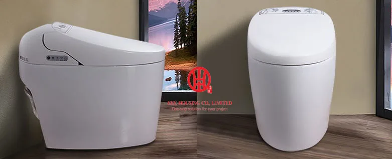 Умный керамический туалет wc smart commode S-trap/европейский рынок В 220 В заводская цена автоматическая очистка сливного сифонического