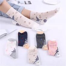 Весенние новые модные повседневные женские носки милый мультяшный Тоторо носки для девочек Kawaii Носки