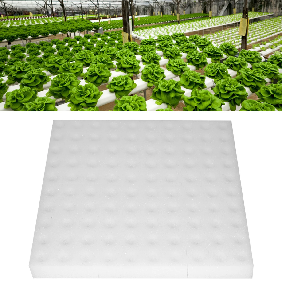 

100Pcs Hydroponic Sponge Planting Gardening Tool Square Seedling Sponges Nursery Pots for Greenhouse