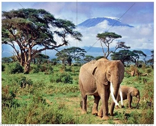 

5D Diy full diamond painting embroidery mosaic resin rhistonesnes diamond cross stitch arts and crafts Elephant mother and son